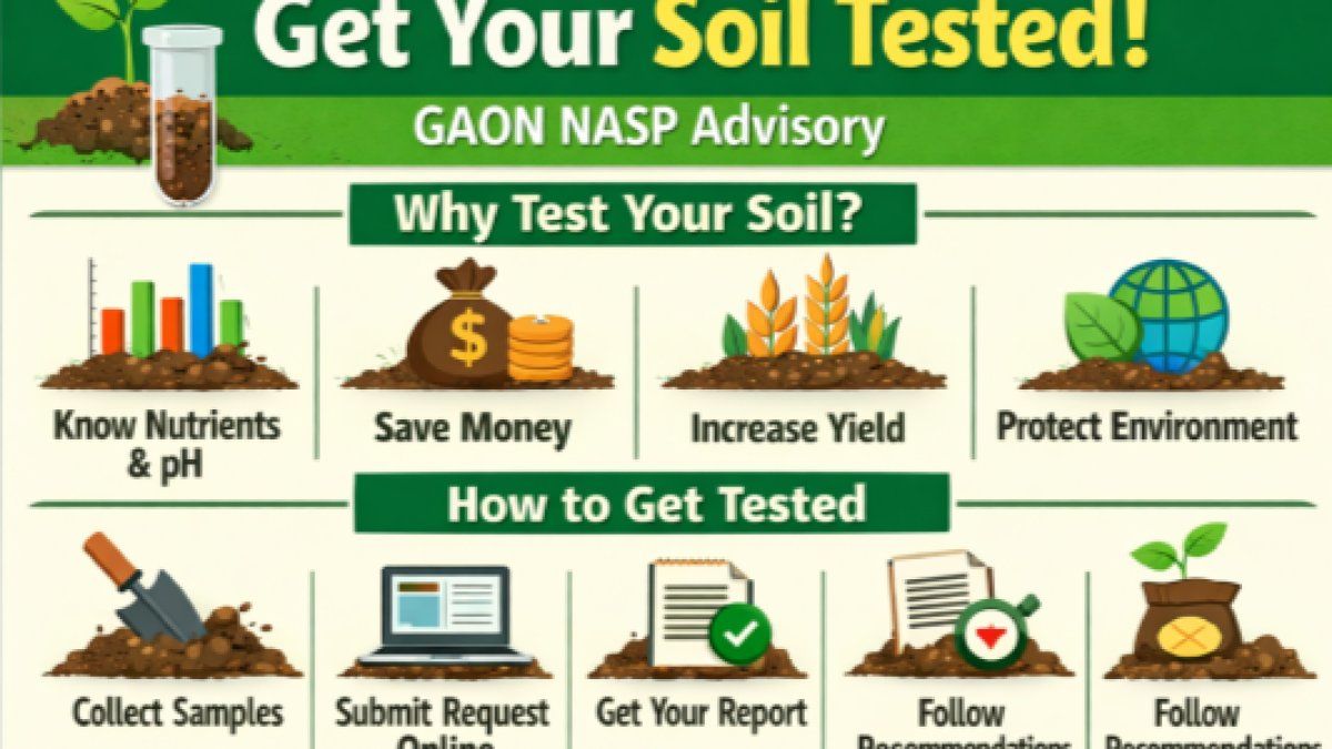 Get Your Soil Tested