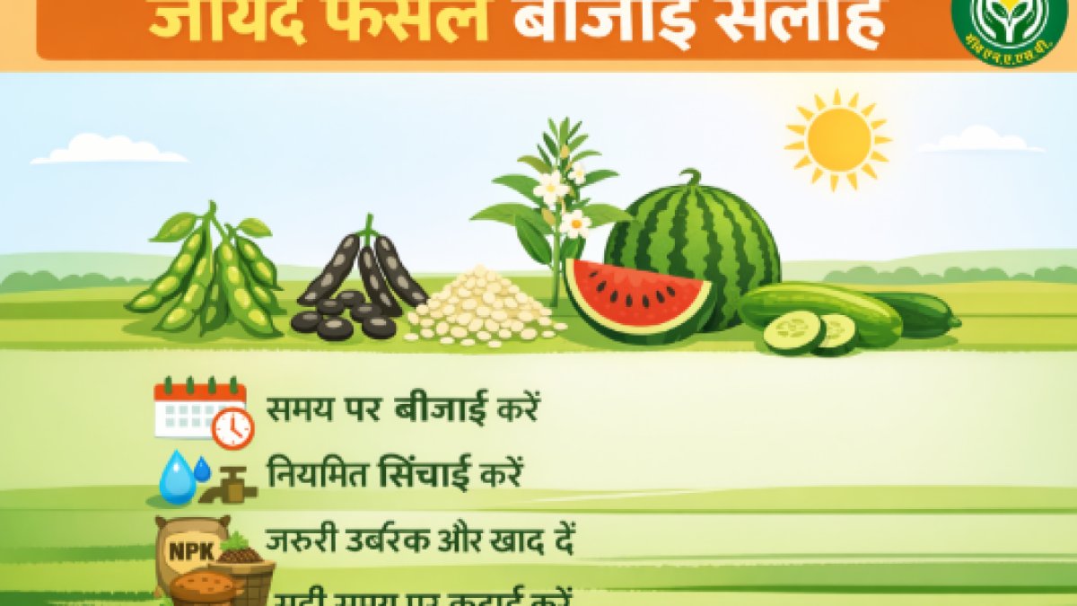 Zaid Season Crops — Start Sowing