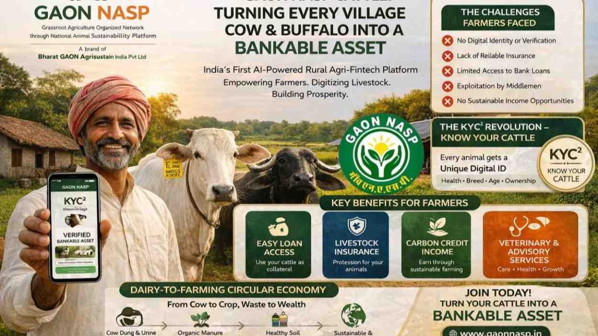 GAON NASP Cattle: Turning Every Village Cow & Buffalo into a Bankable Asset