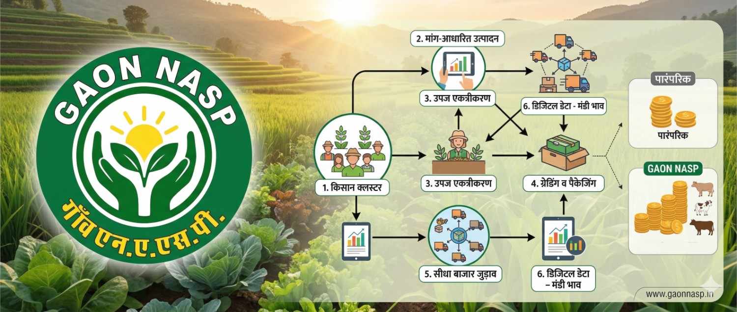 How Does the GAON NASP Cluster Model Increase Farmers’ Income? 