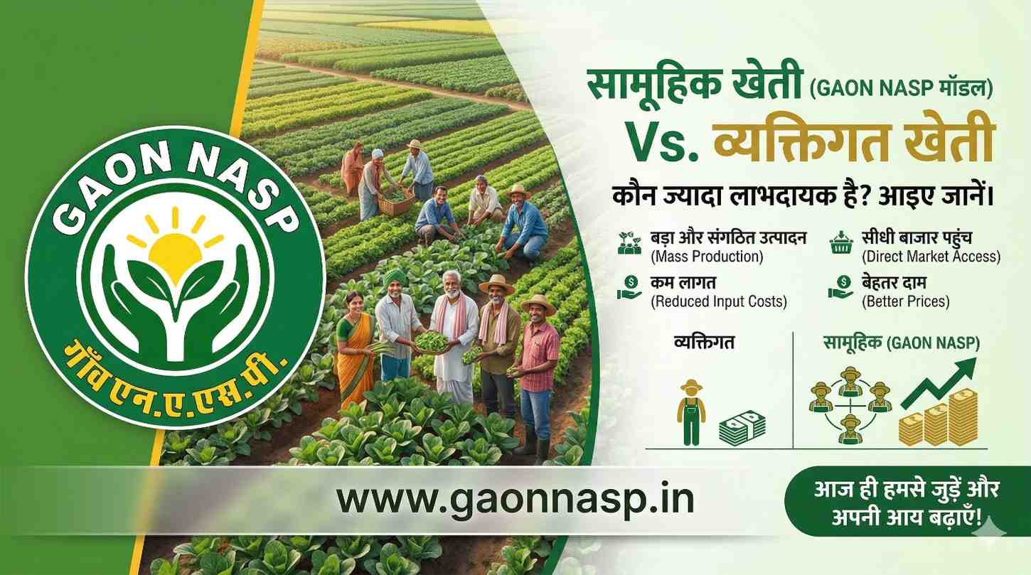 Individual Farming vs Collective Farming: Which is More Profitable? (With GAON NASP Model)