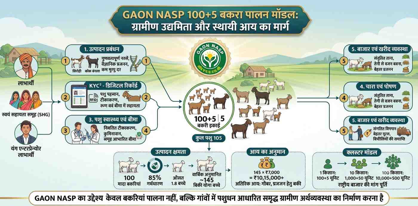 GAON NASP 100+5 Goat Farming Model: A Sustainable Path to Rural Entrepreneurship and Income Generation