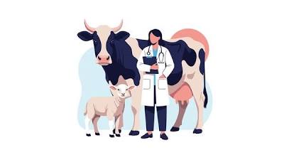 पशु स्वास्थ्य जांच