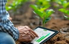 उपज अनुकूलन सलाह