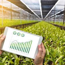 कृषि सलाह